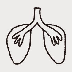 doodle lung N15