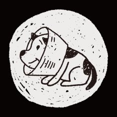 doodle dog collar N7