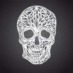 Vector illustration with Hand Drawn Skull