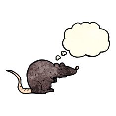 cartoon black rat with thought bubble N2