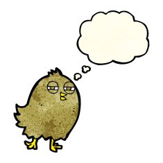 funny cartoon bird with thought bubble N42