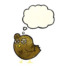 funny cartoon bird with thought bubble N50
