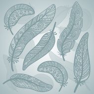 Vector colored feathers set
