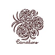 Handsketched bouquet of carnations