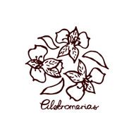 Handsketched bouquet of alstroemerias