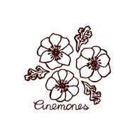 Handsketched bouquet of anemones