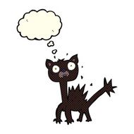 cartoon scared cat with thought bubble N2