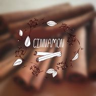 Herbs and Spices Collection - Cinnamon N2