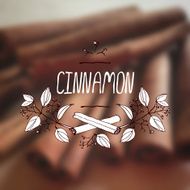 Herbs and Spices Collection - Cinnamon N3