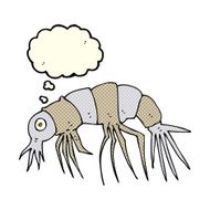cartoon shrimp with thought bubble N16