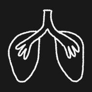 doodle lung N17