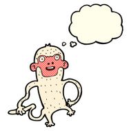 cartoon monkey with thought bubble N16