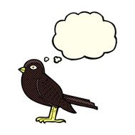 cartoon garden bird with thought bubble N20