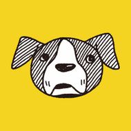 Doodle Dog N32