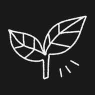 leaf doodle drawing N6