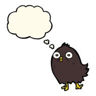 funny cartoon bird with thought bubble N80