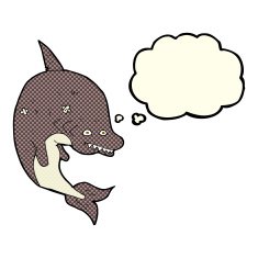 cartoon shark with thought bubble N20