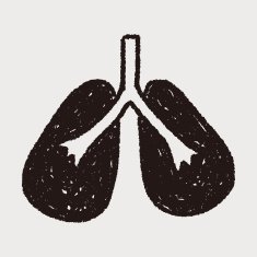 doodle lung N16