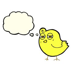 funny cartoon bird with thought bubble N62