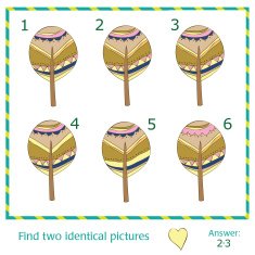 Find two identical pictures