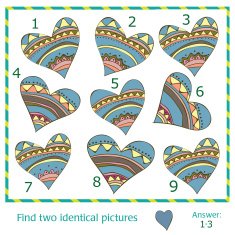 Find two identical pictures N2