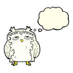 cartoon wise old owl with thought bubble N2
