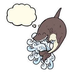 cartoon shark with thought bubble N23