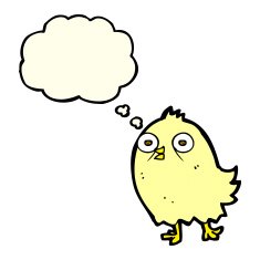 funny cartoon bird with thought bubble N66