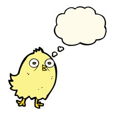 funny cartoon bird with thought bubble N84