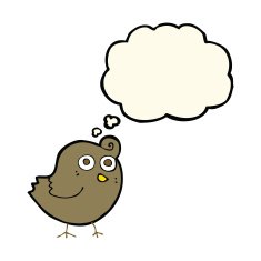 funny cartoon bird with thought bubble N88