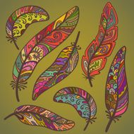 Vector colored feathers set N5