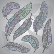 Vector colored feathers set N6