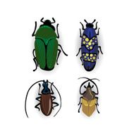 Colorful vector drawing of small beetles