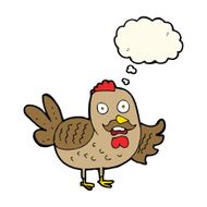 cartoon old rooster with thought bubble N5
