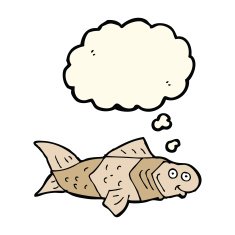 cartoon funny fish with thought bubble N11