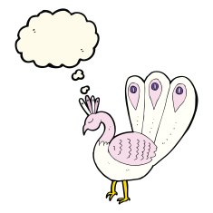 cartoon peacock with thought bubble N8