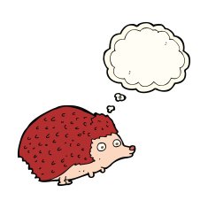 cartoon hedgehog with thought bubble N6