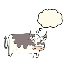 cartoon cow with thought bubble N24