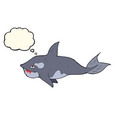 cartoon killer whale with thought bubble N8