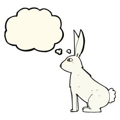 cartoon rabbit with thought bubble N60