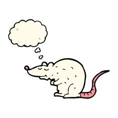 cartoon rat with thought bubble N3