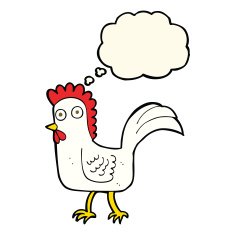 cartoon chicken with thought bubble N13