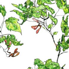 seamless pattern maple twig N2