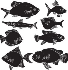 silhouettes of fishes