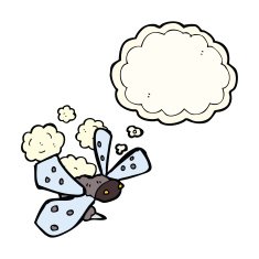 cartoon bug with thought bubble N24