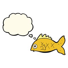 cartoon fish with thought bubble N62