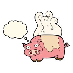 cartoon pig with thought bubble N12