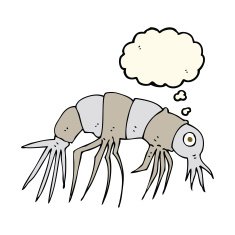 cartoon shrimp with thought bubble N22