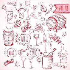 Wine sketch and vintage doodles