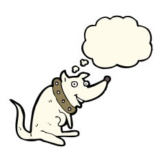 cartoon happy dog in big collar with thought bubble N5
